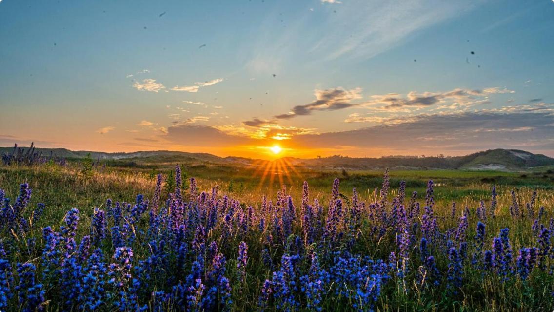 Lowlander Bnb Хемскерк Экстерьер фото